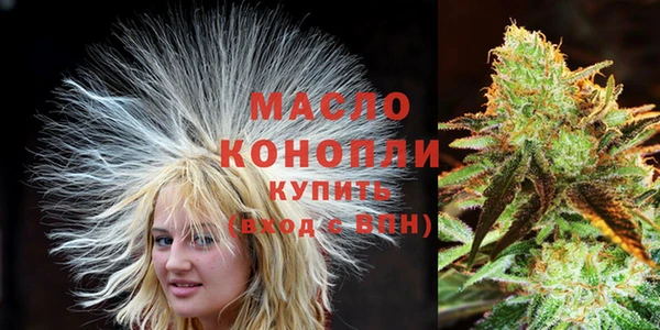 крисы Бородино