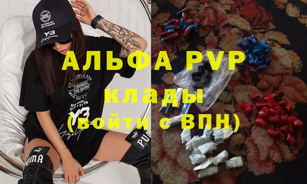 крисы Бородино