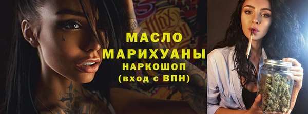 крисы Бородино