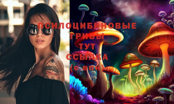 крисы Бородино