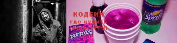крисы Бородино
