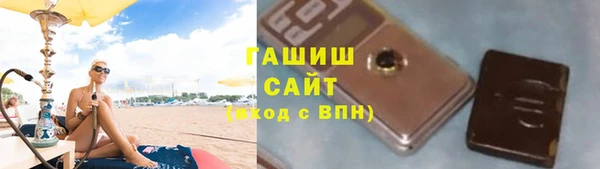 крисы Бородино