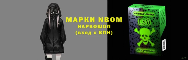 крисы Бородино