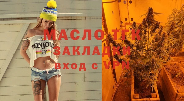 крисы Бородино