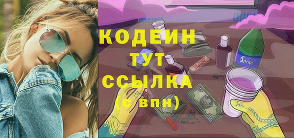 крисы Бородино