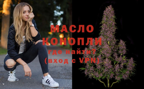 крисы Бородино