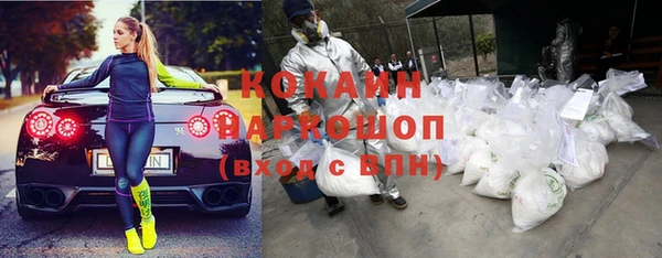 крисы Бородино