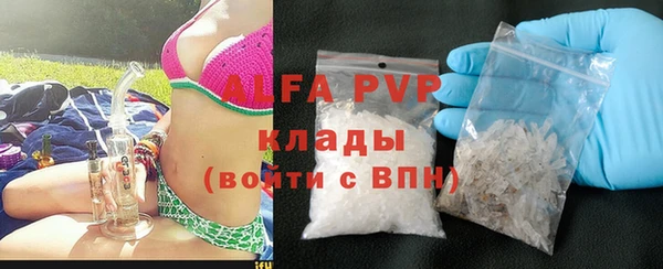 крисы Бородино