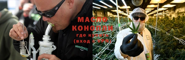 крисы Бородино