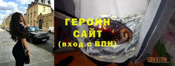 крисы Бородино